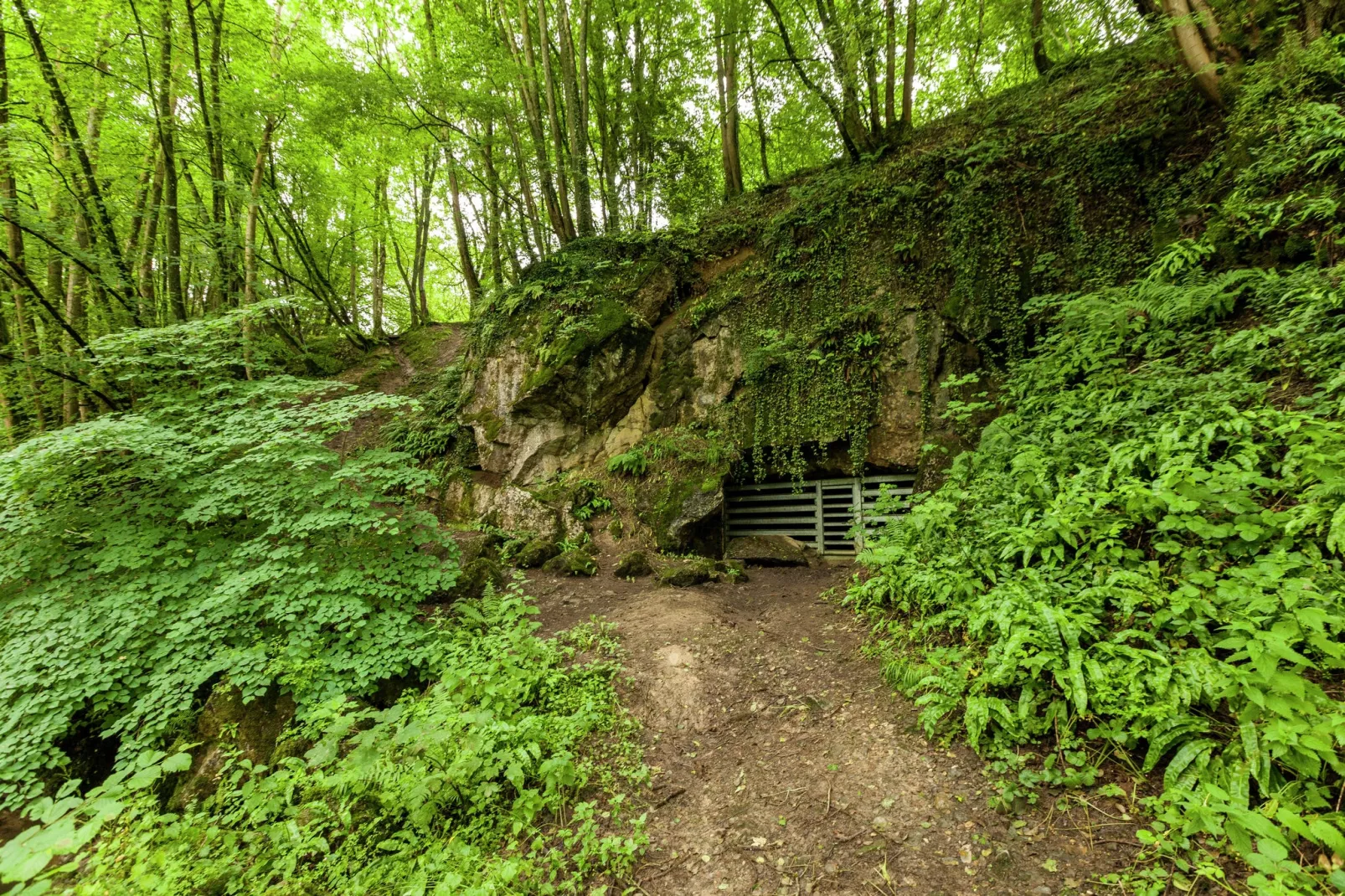 Domaine De L'Ecureuil 4-Areas summer 5km