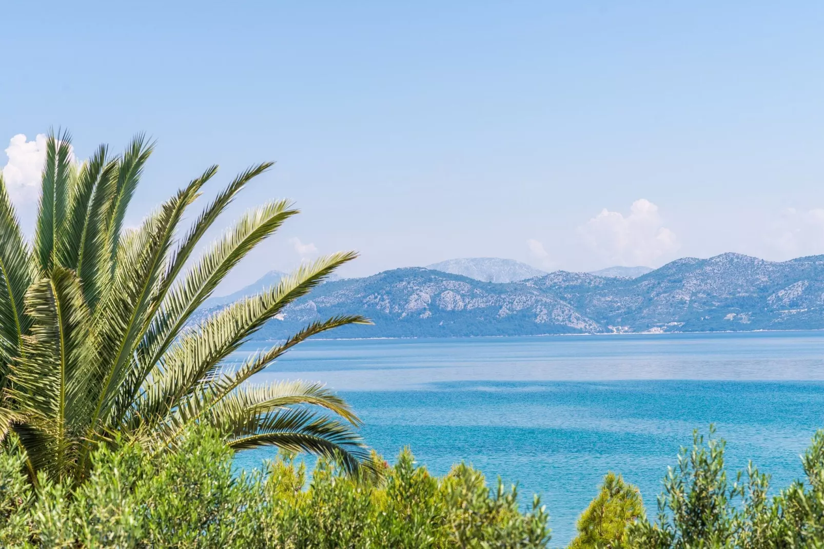 Apartments Glavor - Standard Studio Apartment with Terrace and Sea View (SA2)-Gardens summer