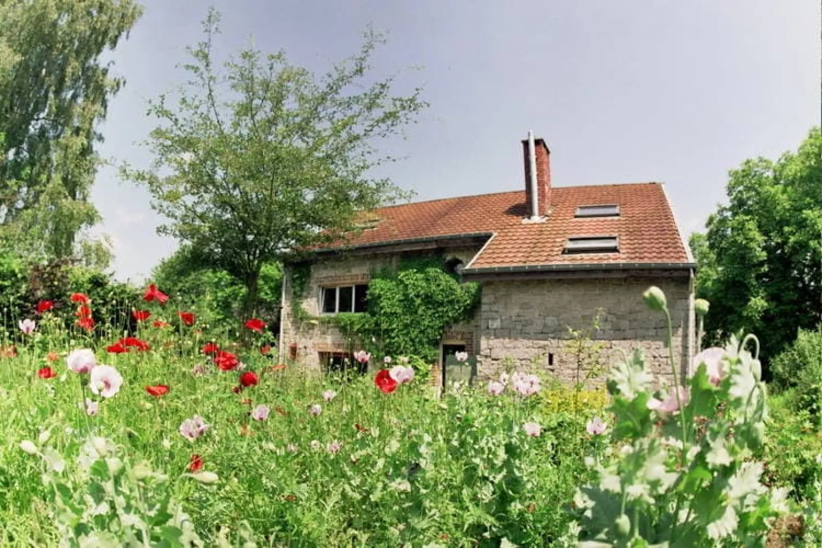 Biogite 100 pourcent nature 4 personnes-Exterior summer