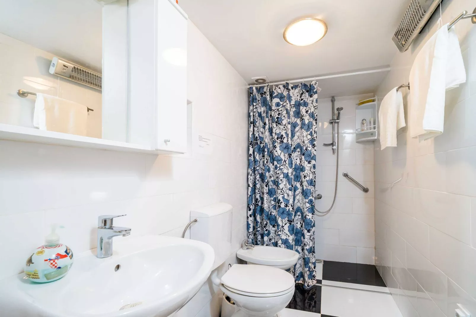 House Kočan-Four Bedroom Villa with Terrace and Swimming Pool-Bathroom