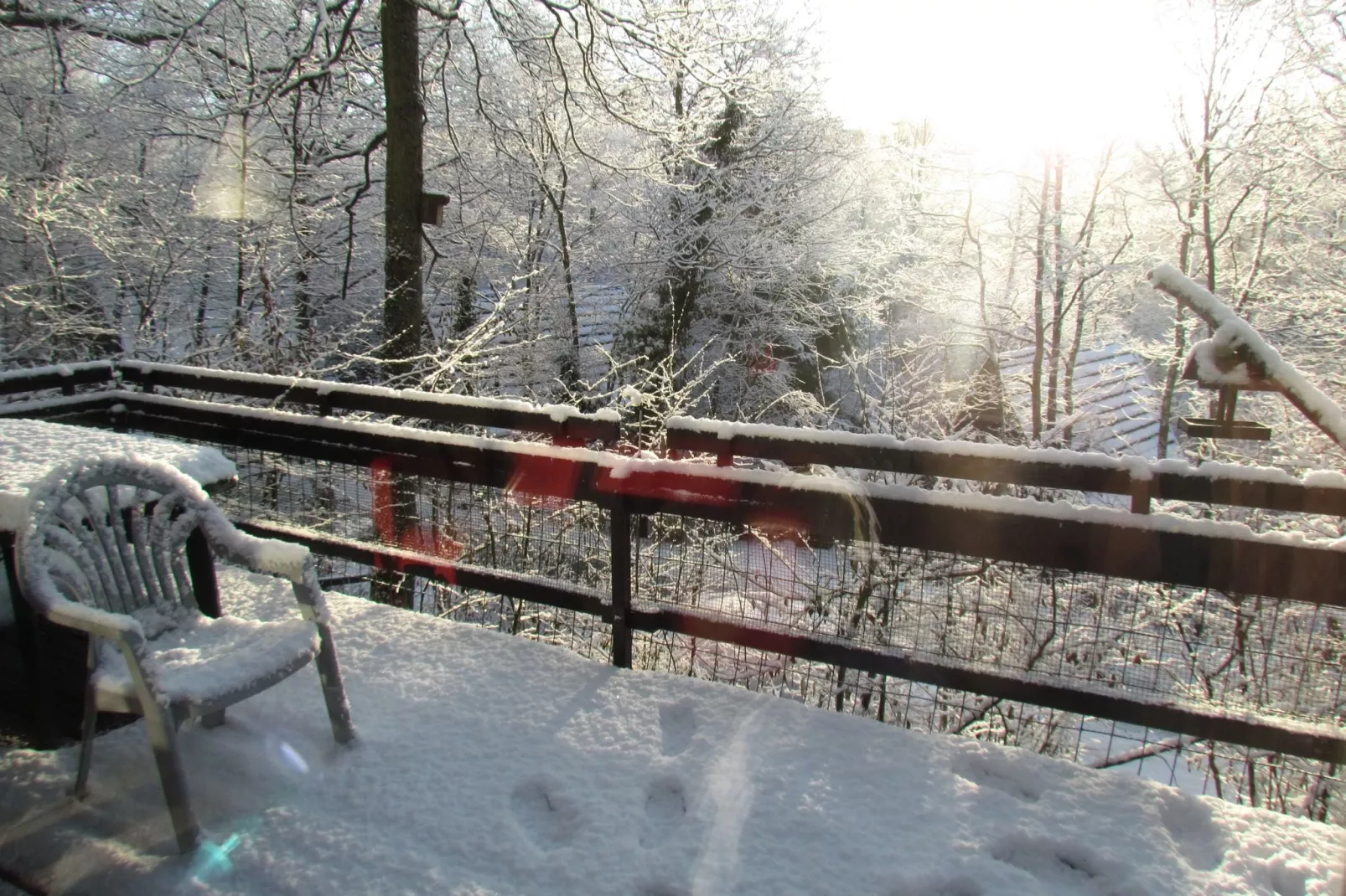 Le Colombier 204-Garden winter