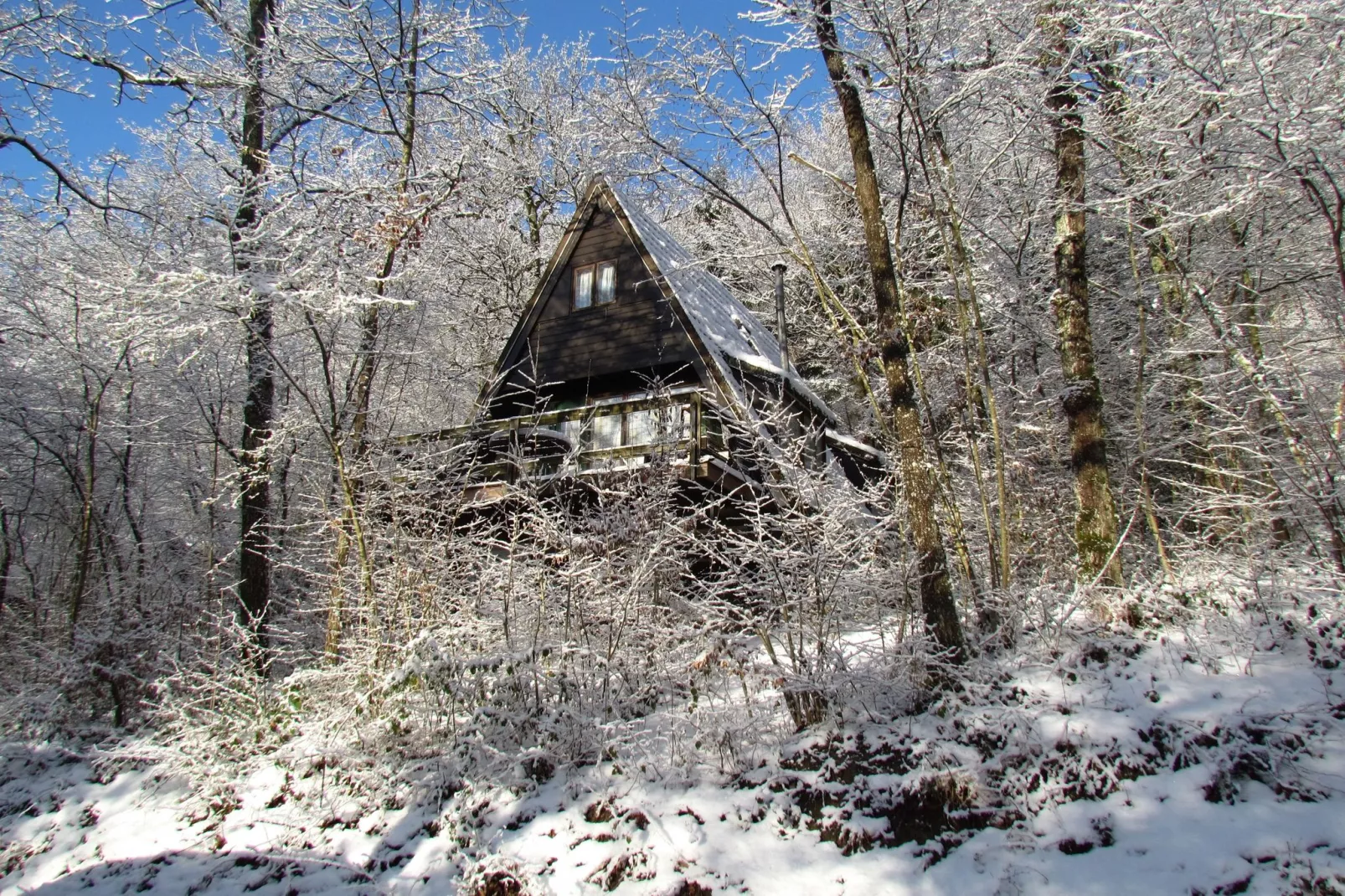 Le Colombier 204-Garden winter