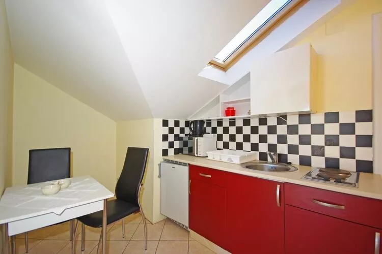 Apartments Villa Rose - Economy Studio with Sea View and shared  Terrace (A3 crveni)