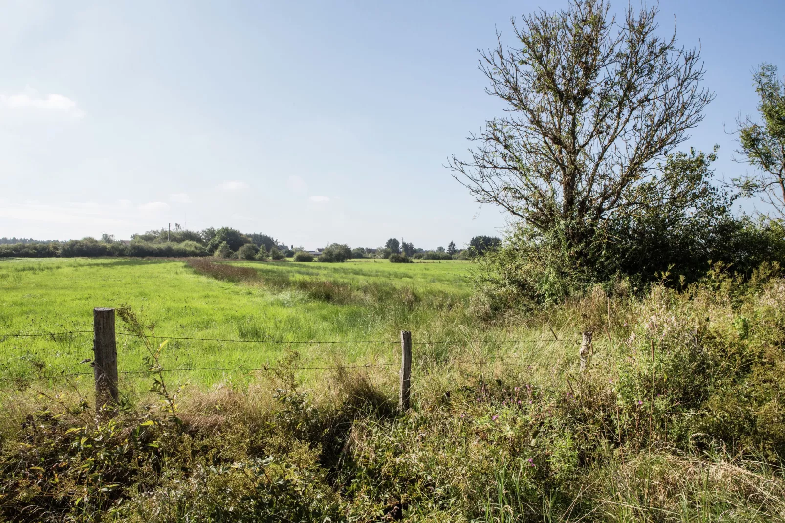 Le Colombier 204-Areas summer 5km
