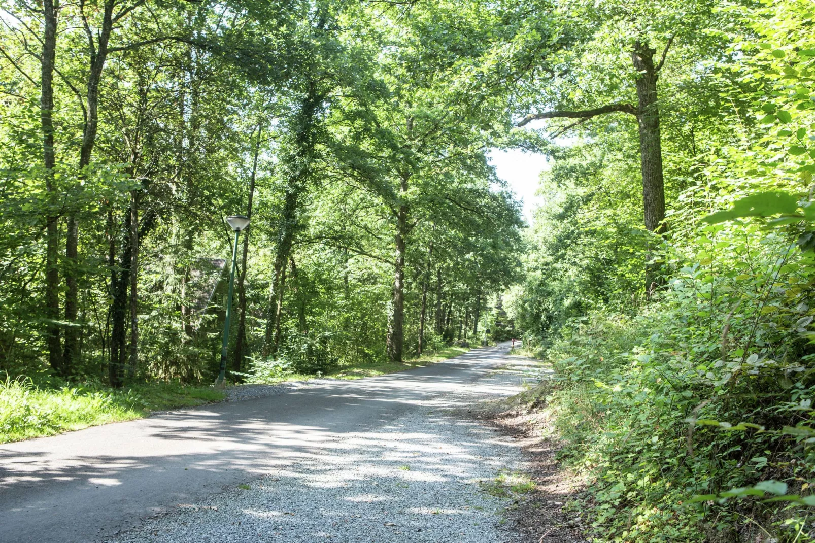 Le Colombier 204-Areas summer 20km