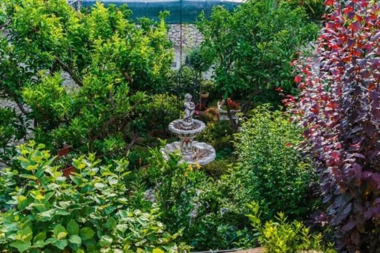 Apartments Roda - One Bedroom Apartment with Terrace (Mira) - (ST)
