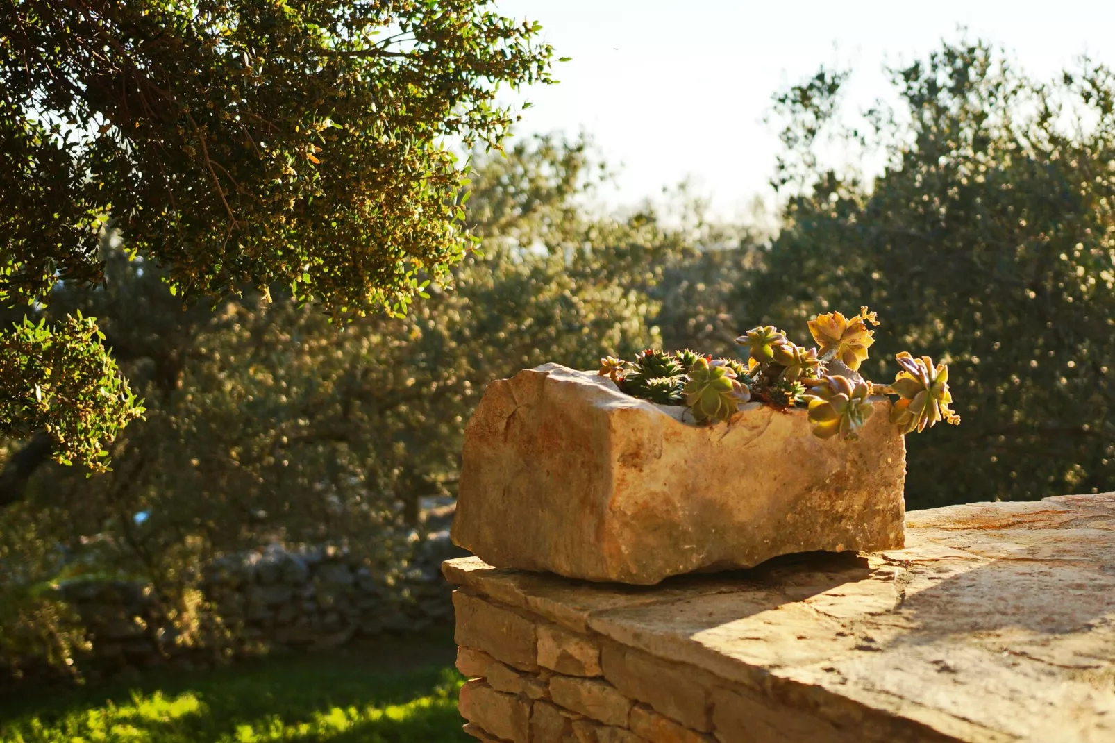 Stone House San Pelegrin-Two Bedroom Holiday Home with Terrace and Sea View-Extérieur