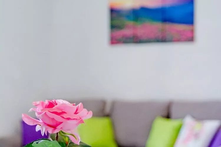 Apartment Anamaris (ST) - One Bedroom Apartment with Terrace and Sea View-Indoor