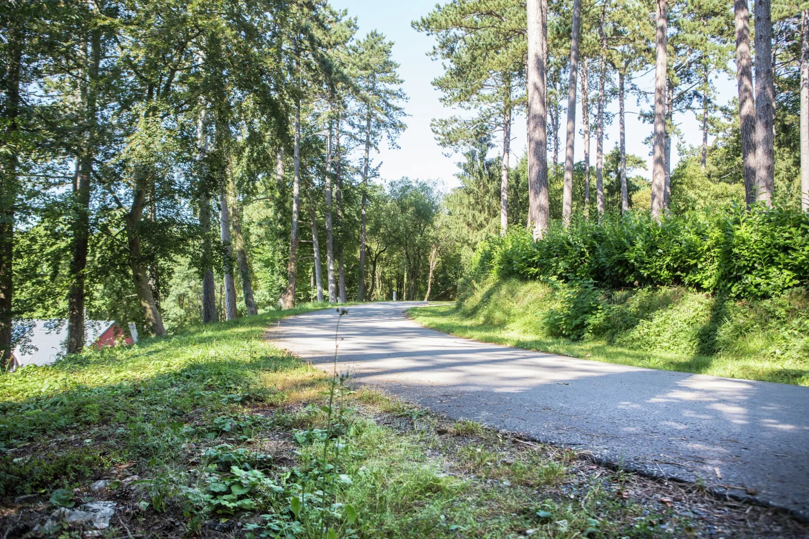 Chalet du Soleil-Areas summer 5km
