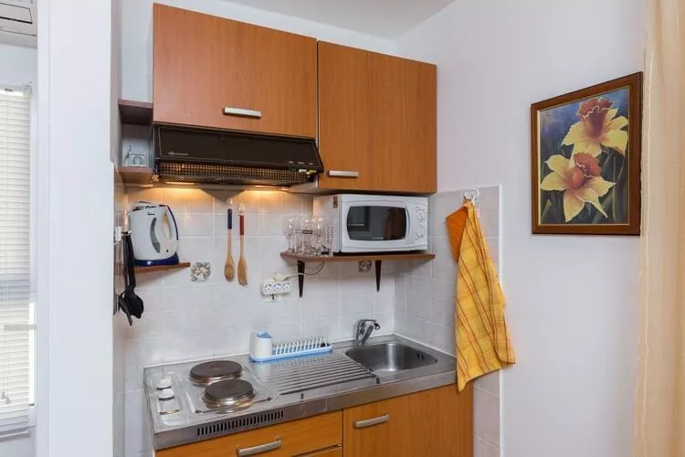 Apartments Milanović - Premium Studio Apartment with Terrace and Garden View-Küche