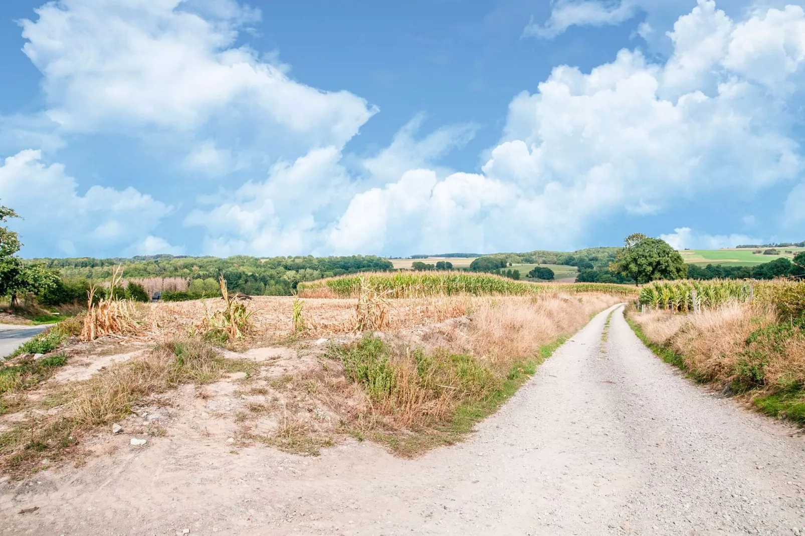 La Romaine-Areas summer 1km