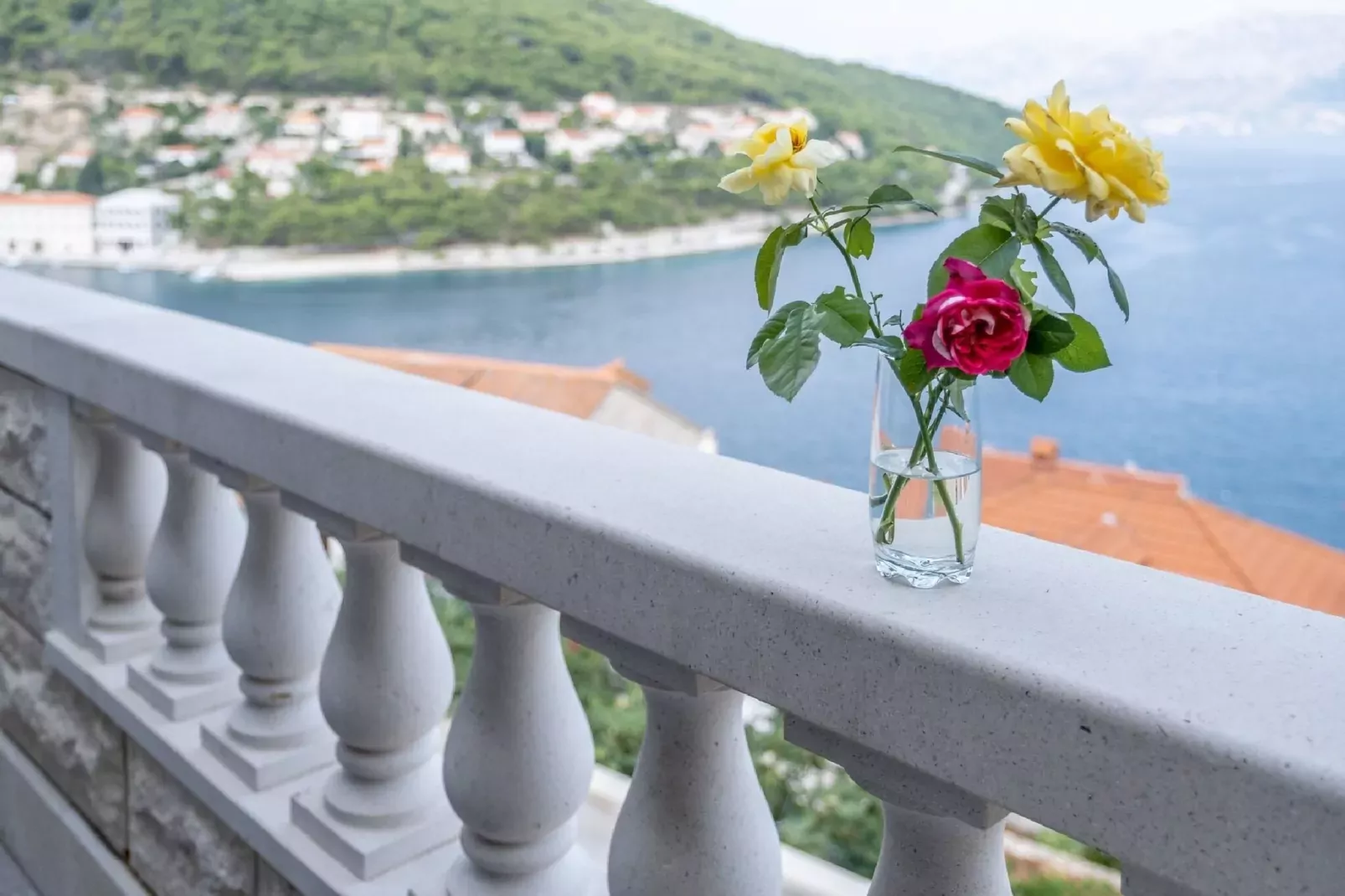 Apartments Darija - One Bedroom Apartment (ST)-View