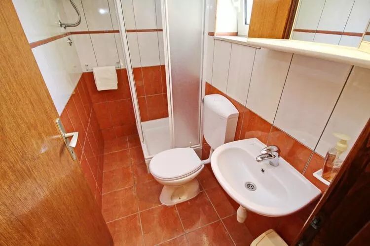 Apartments Radojković Lumbarda -One Bedroom Apartment with Terrace and Partial Sea View(A1)-Bathroom