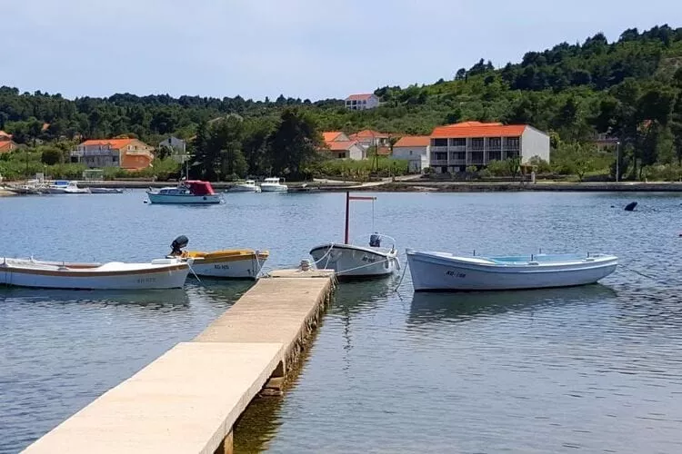 Apartments Radojković Lumbarda - Comfort Two Bedroom Apartment with Terrace and Sea View (A2)-View