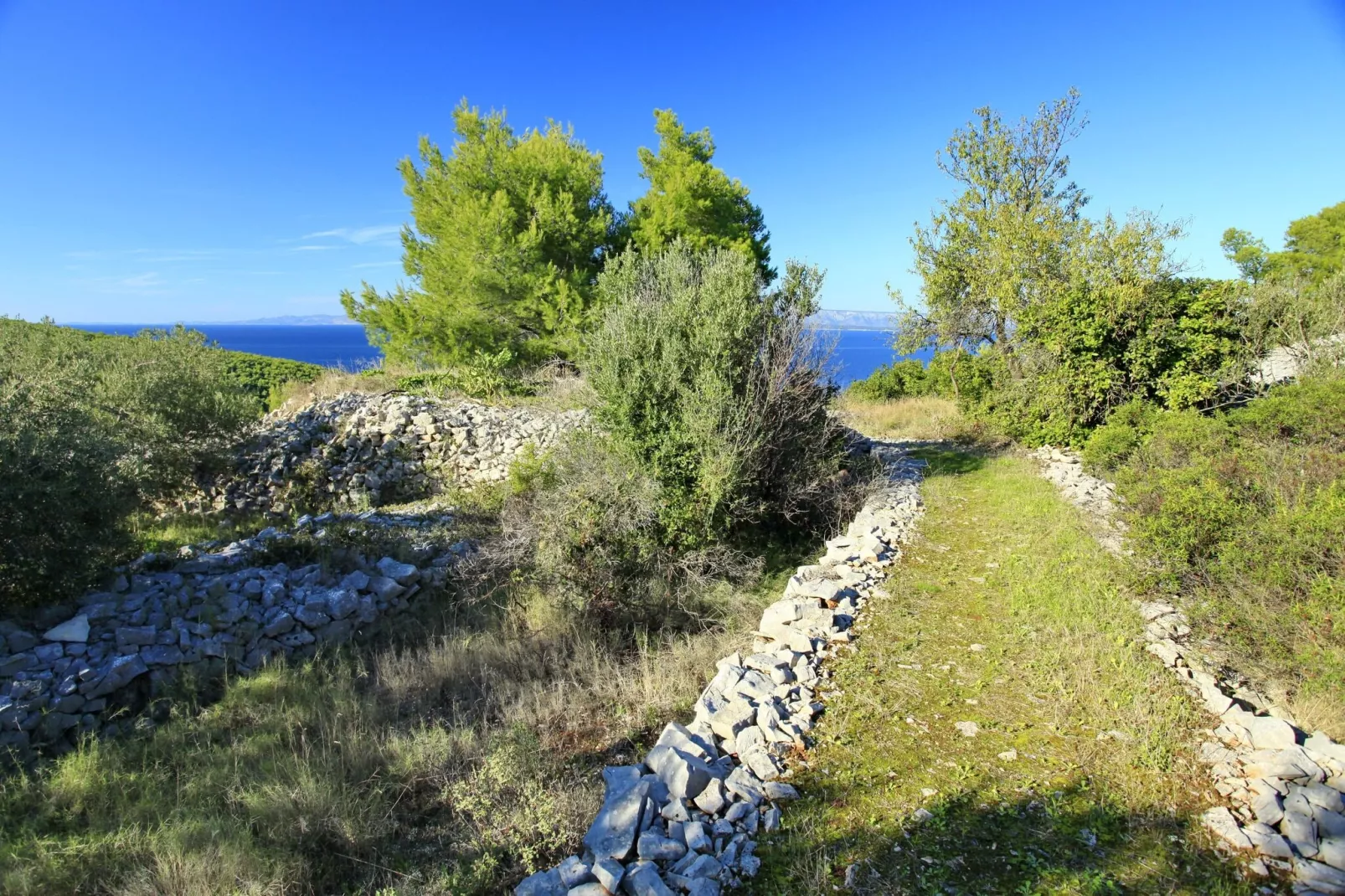Stone House Oreb's Cottage - Two Bedroom Stone House with Terrace and Garden View-Jardin d'été