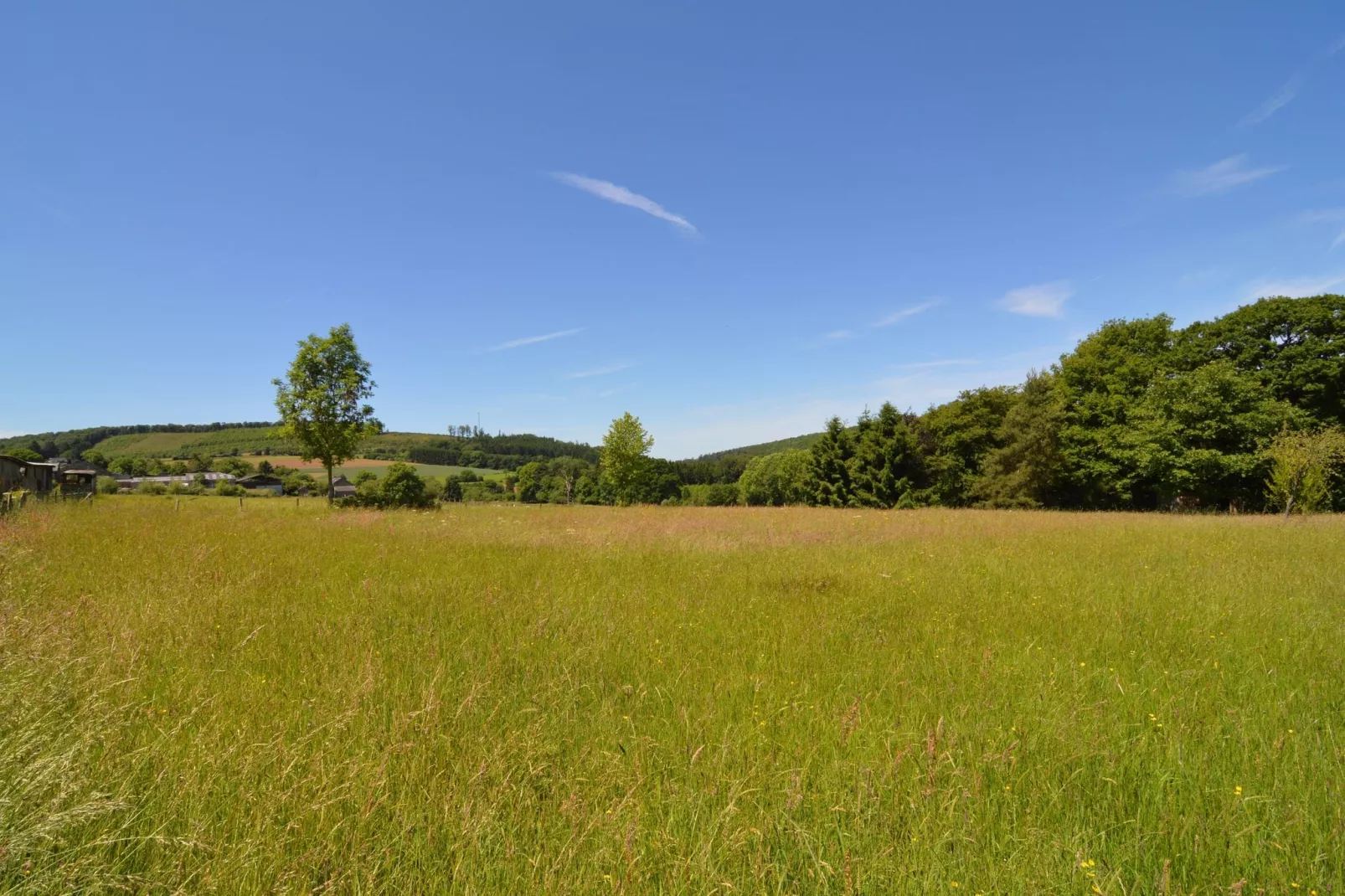 Borlonette-Areas summer 20km