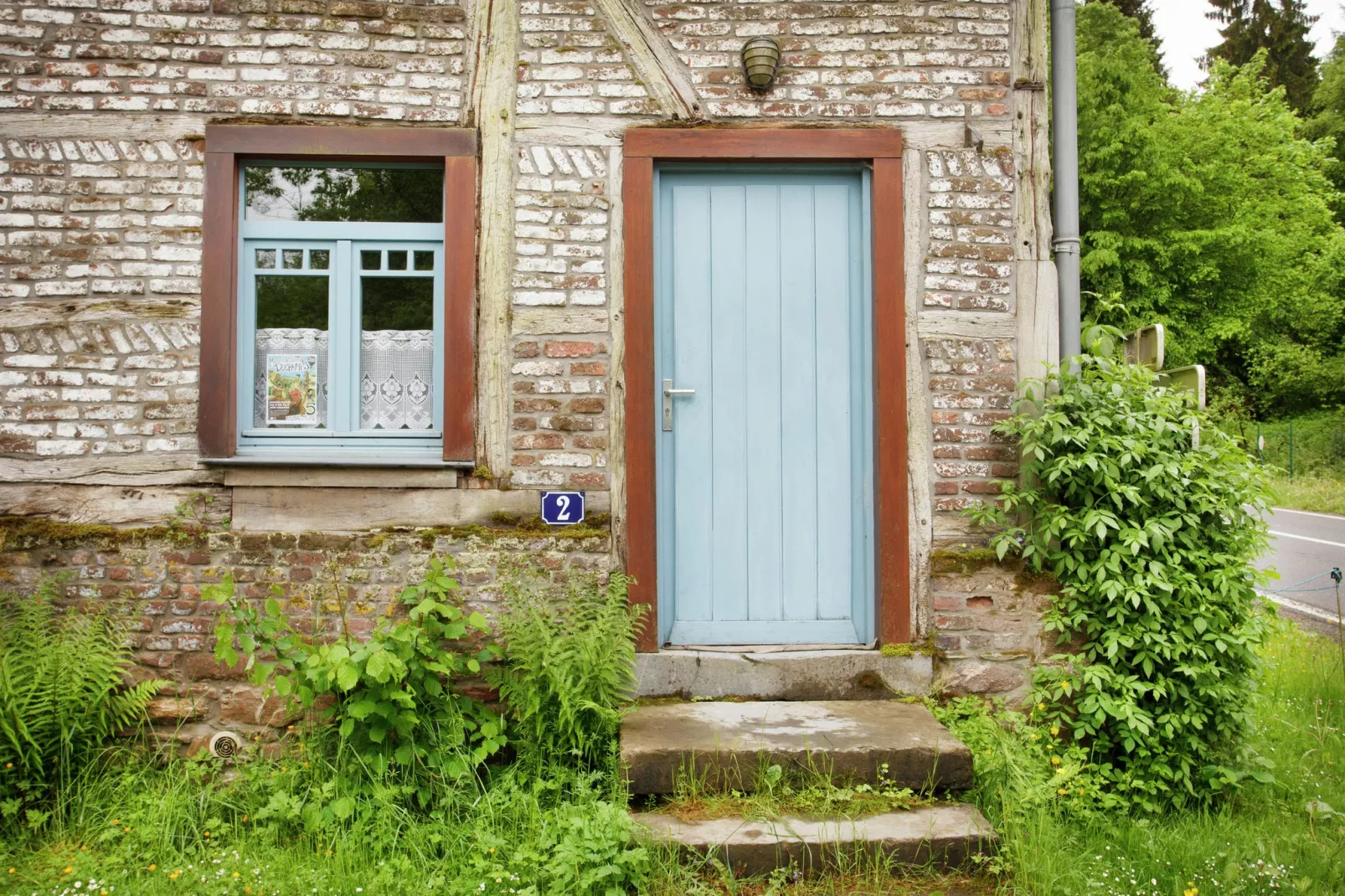 Les Epilobes-Exterior summer