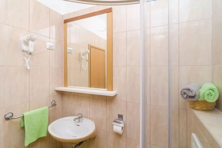 Villa Dalmatian Gem - Two-Bedroom Villa with Terrace and Swimming Pool-Bathroom