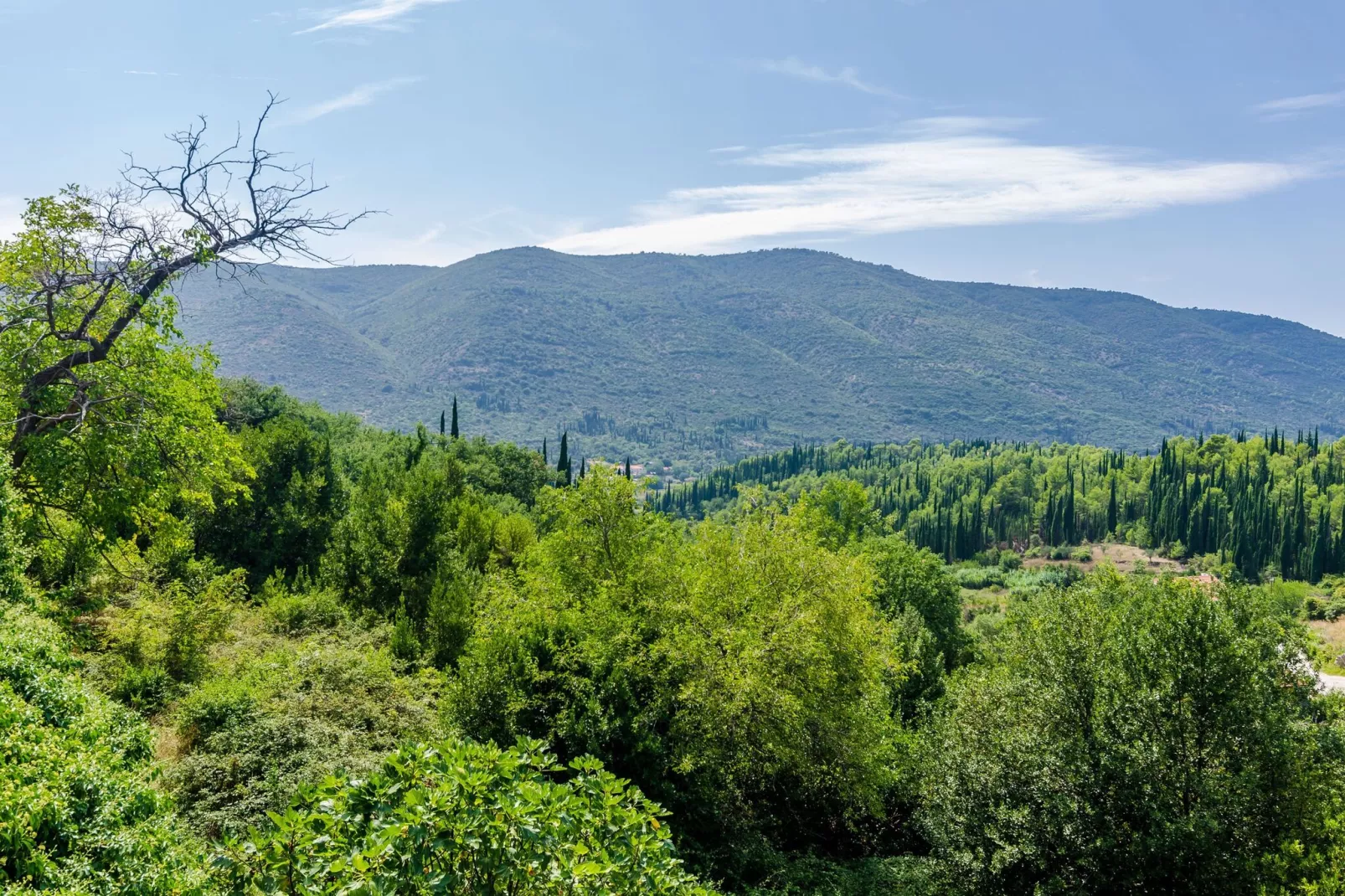 Villa Dalmatian Gem - Two-Bedroom Villa with Terrace and Swimming Pool-View