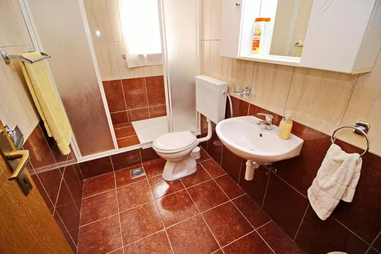 Apartments Veselka, Lumbarda - One Bedroom Apartment with Terrace and Sea View (Apt 4)-Bathroom