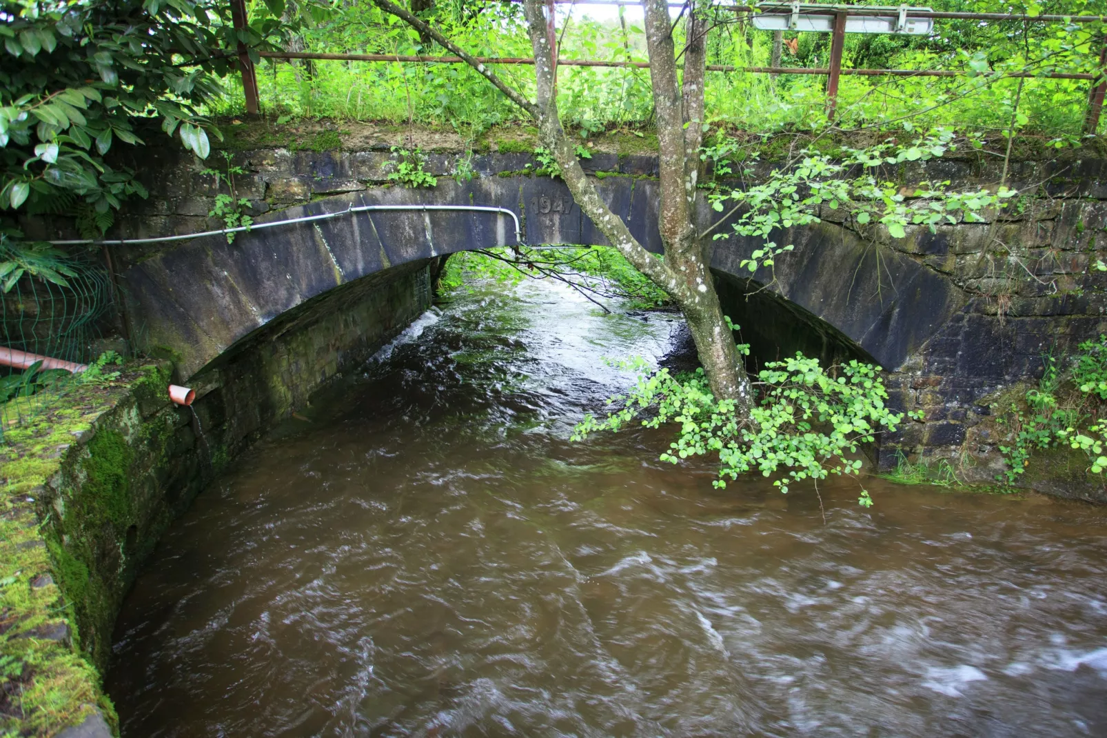 Les Epilobes-Areas summer 1km