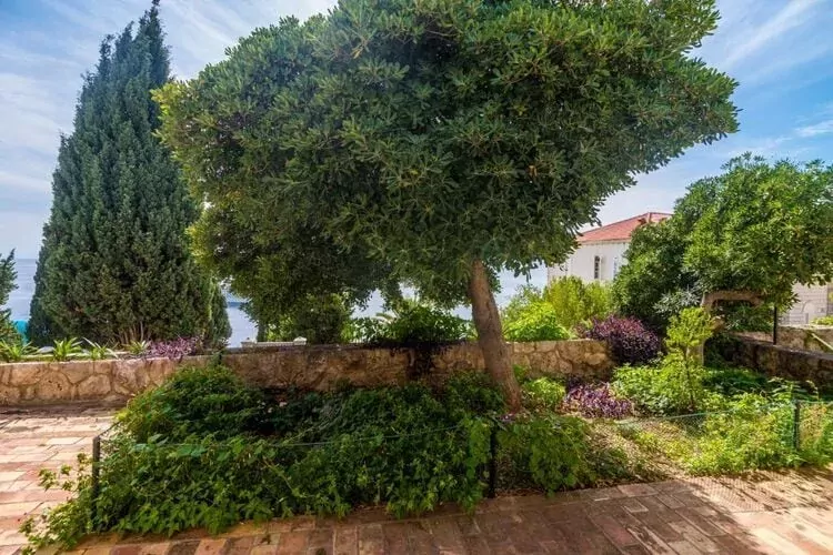 Apartment Charming Arena - One Bedroom Apartment with Terrace and Sea View-Terrasse