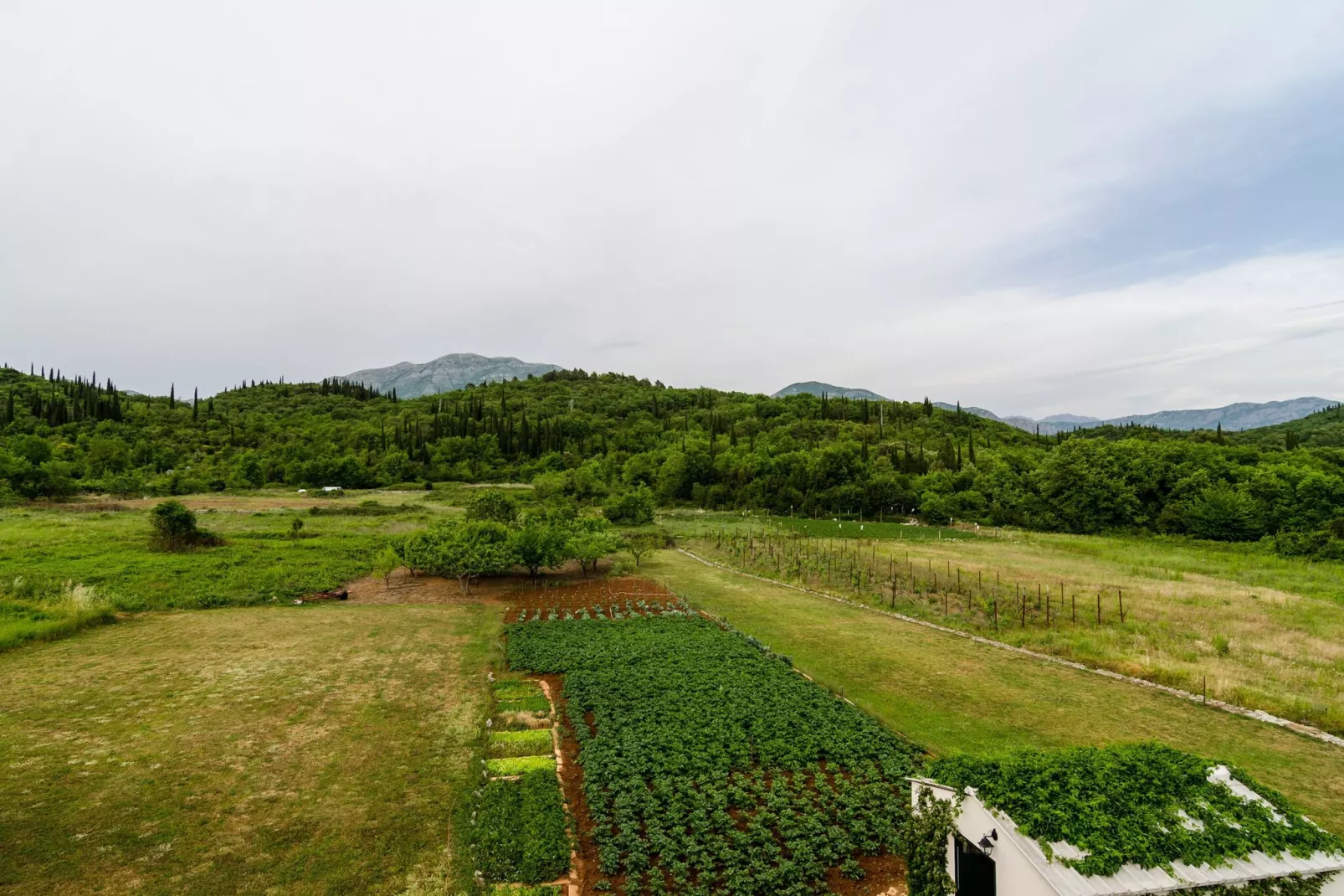 Apartments Dubrovnik Banac - Three Bedroom Apartment-Outdoor