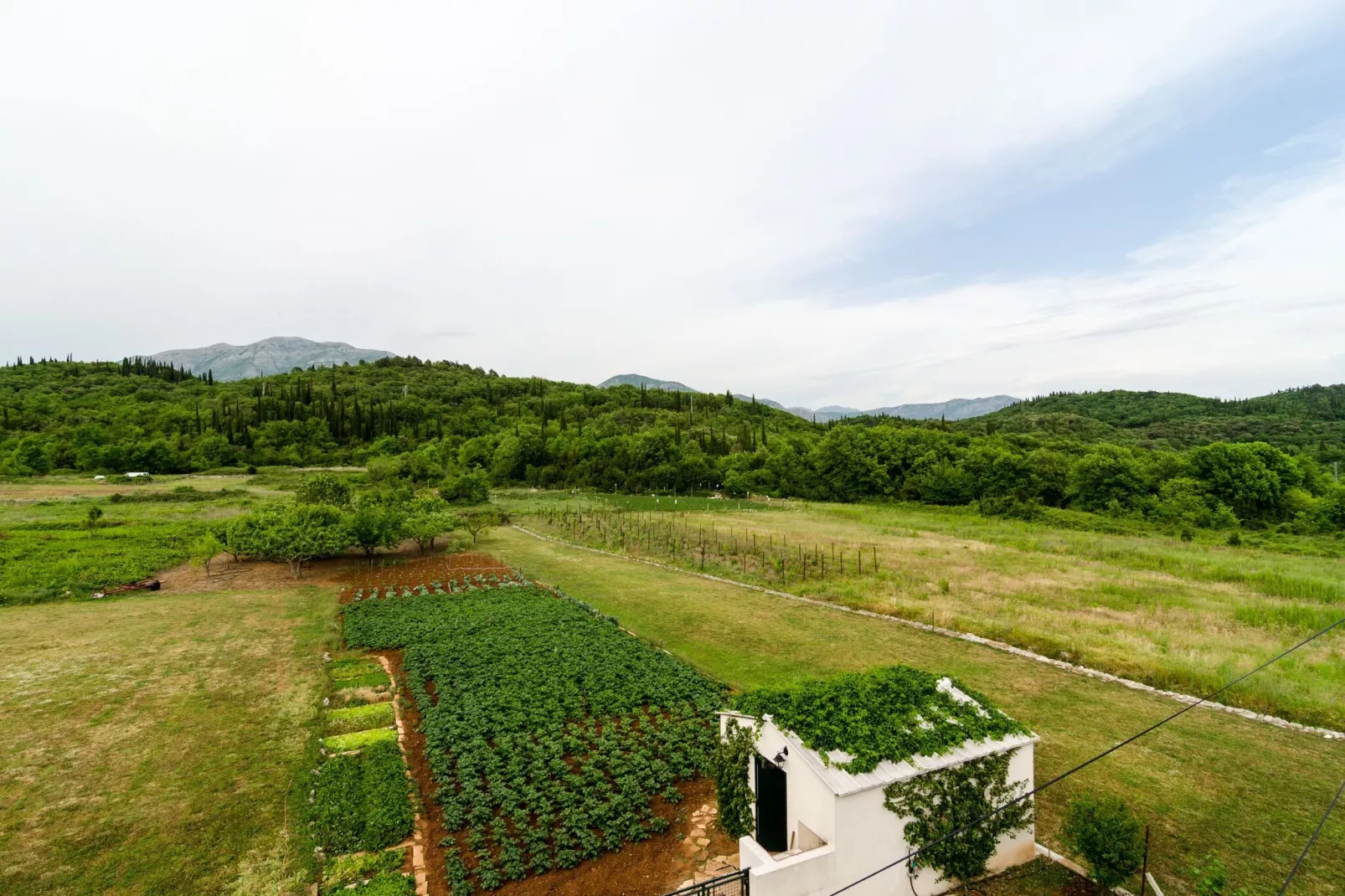Apartments Dubrovnik Banac - Three Bedroom Apartment-Outdoor