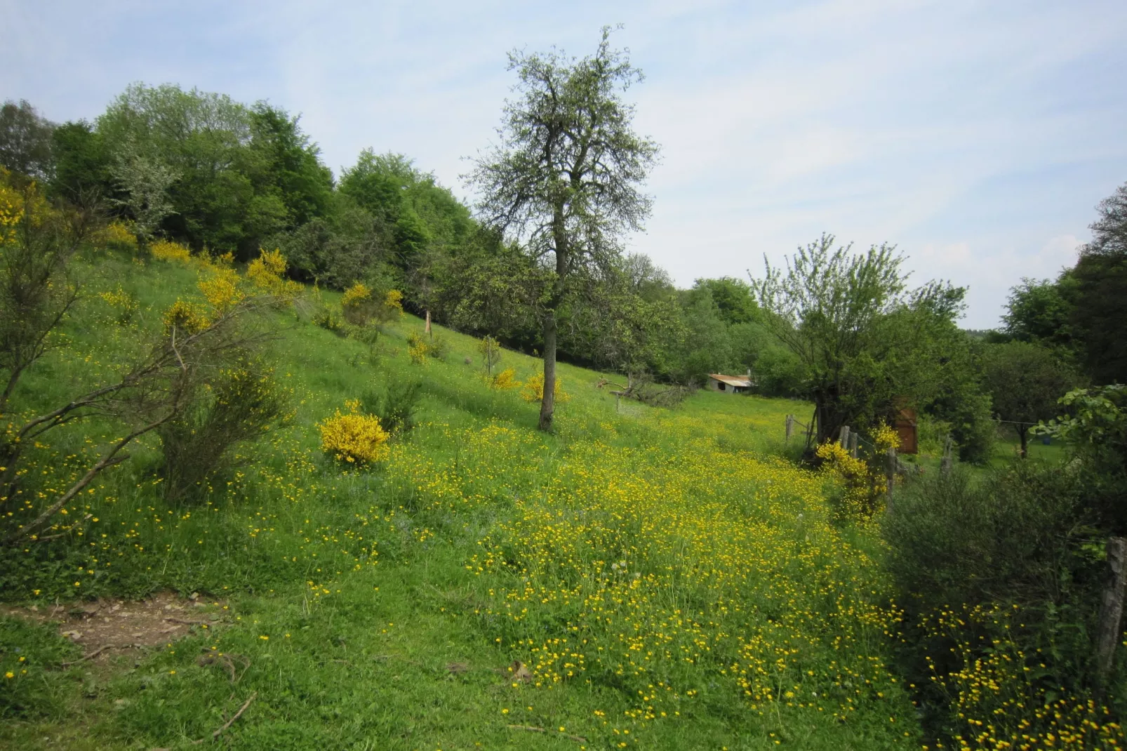 La Fosse Coin Tranquille-View summer