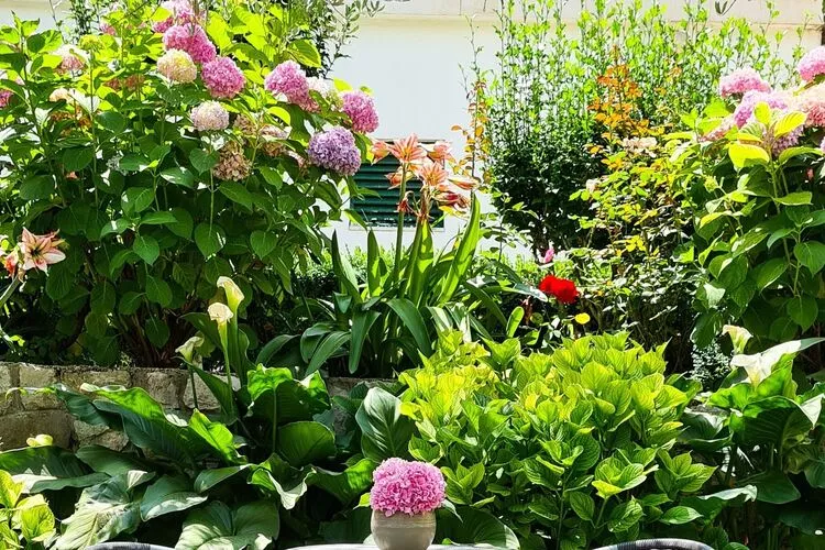 Holiday Home Gea - Three Bedroom Holiday Home with Terrace and Partial Sea View-Gardens summer