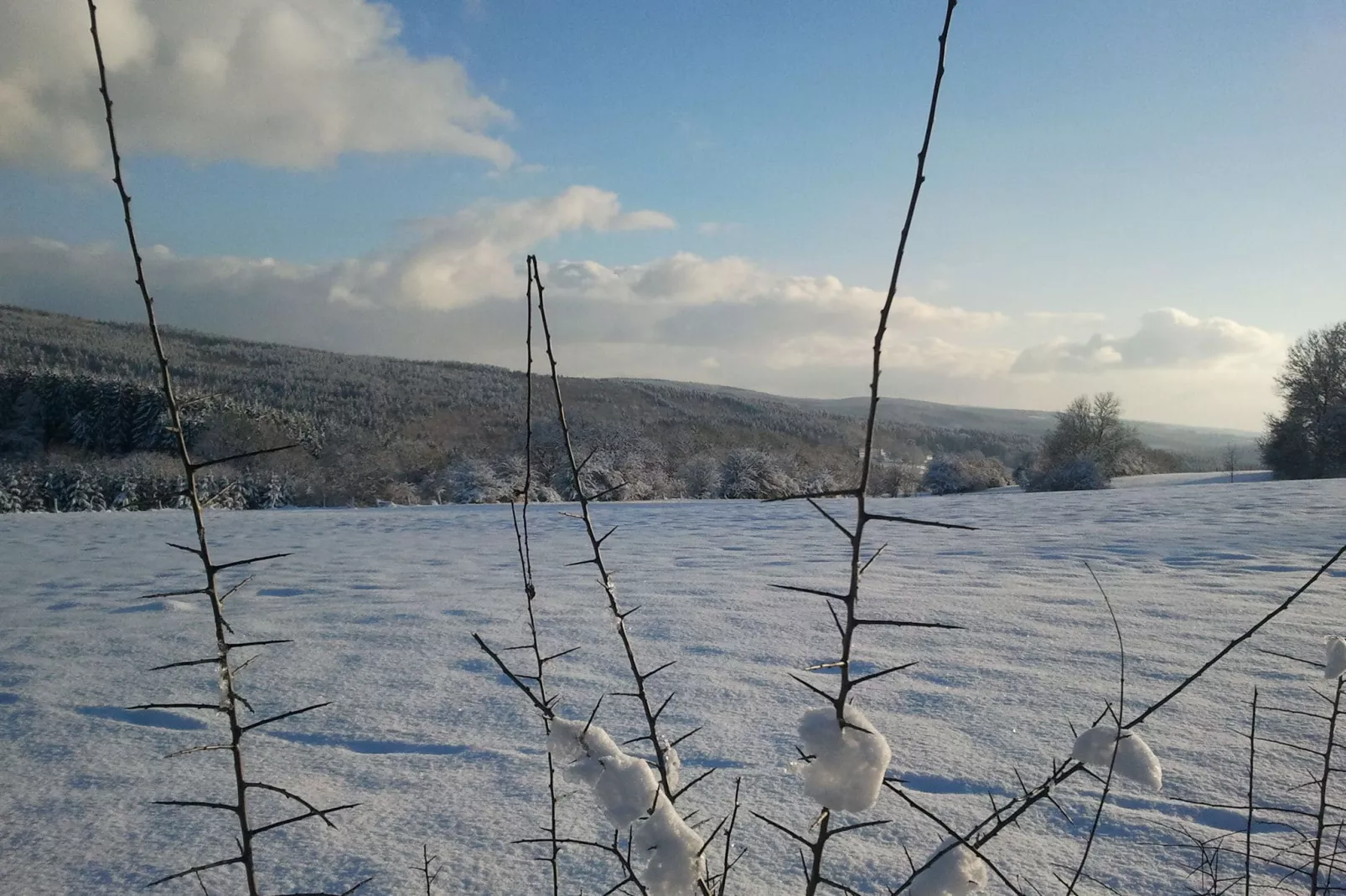Oz Holiday cottage-Zone d'hiver à 5 km