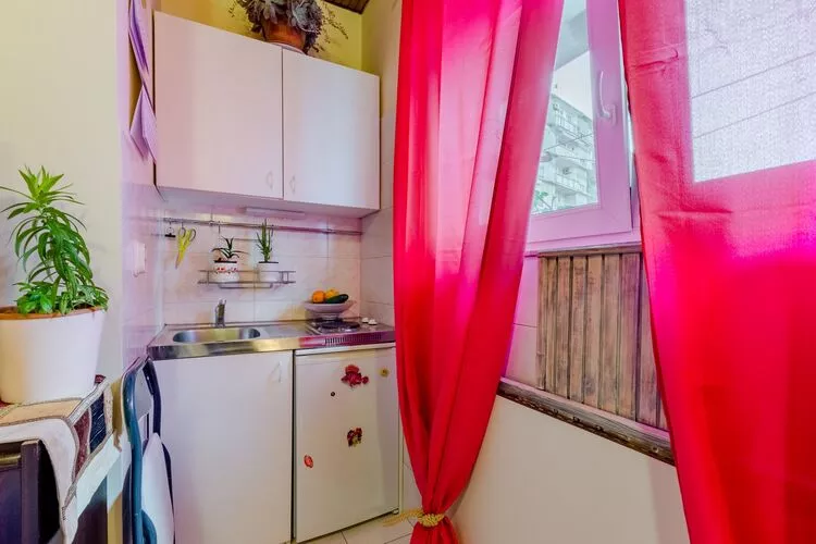 Studio Apartment Silvana (ST) - Studio Apartmen near the Park-Cuisine