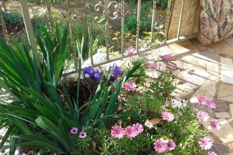 Holiday Home  Angie - One Bedroom Holiday Home with Terrace and Sea View-Terrasse