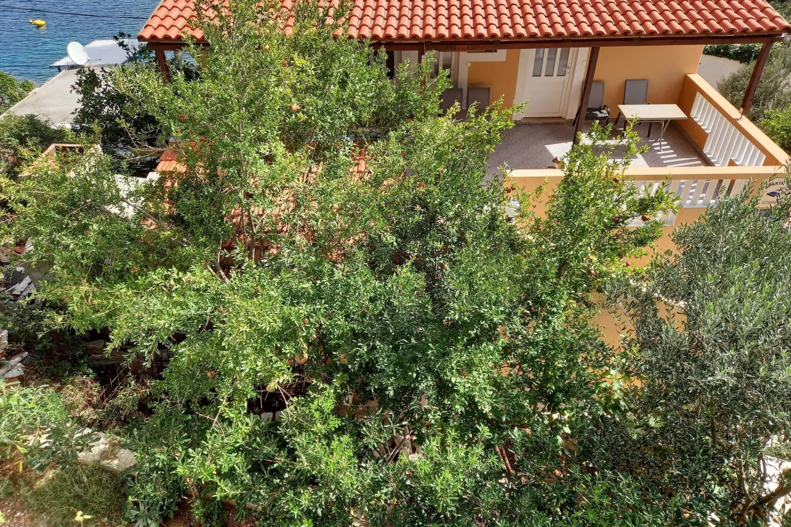 Apartments Vinko Mljet- One-Bedroom Apartment with Terrace (A5)-Outdoor