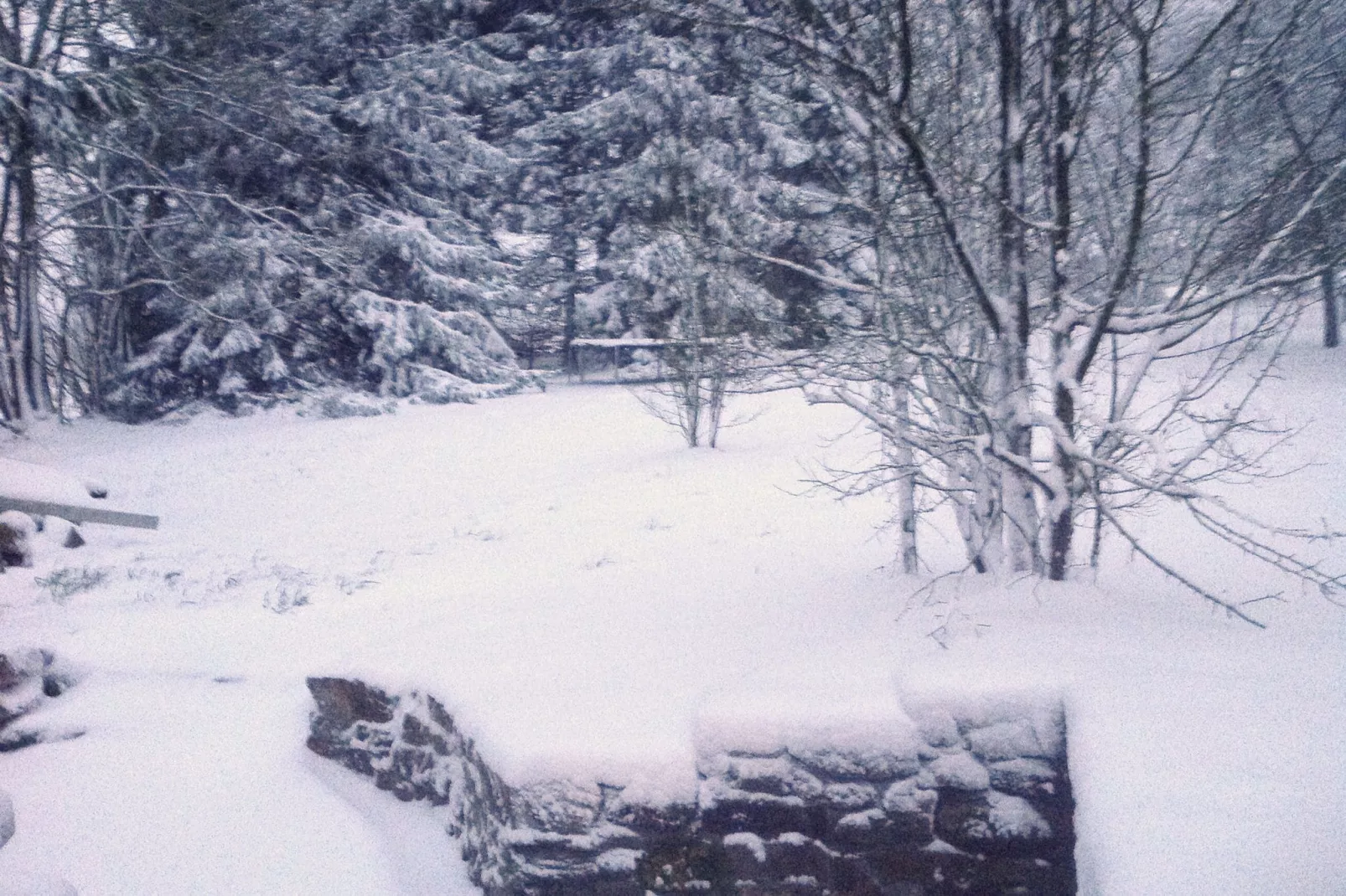 La Campanelle-Jardin d'hiver