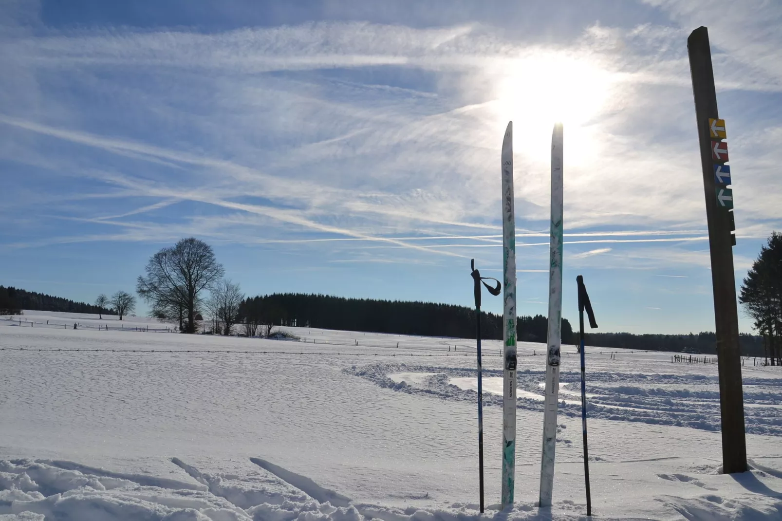 La Campanelle-Zone d'hiver à 1 km