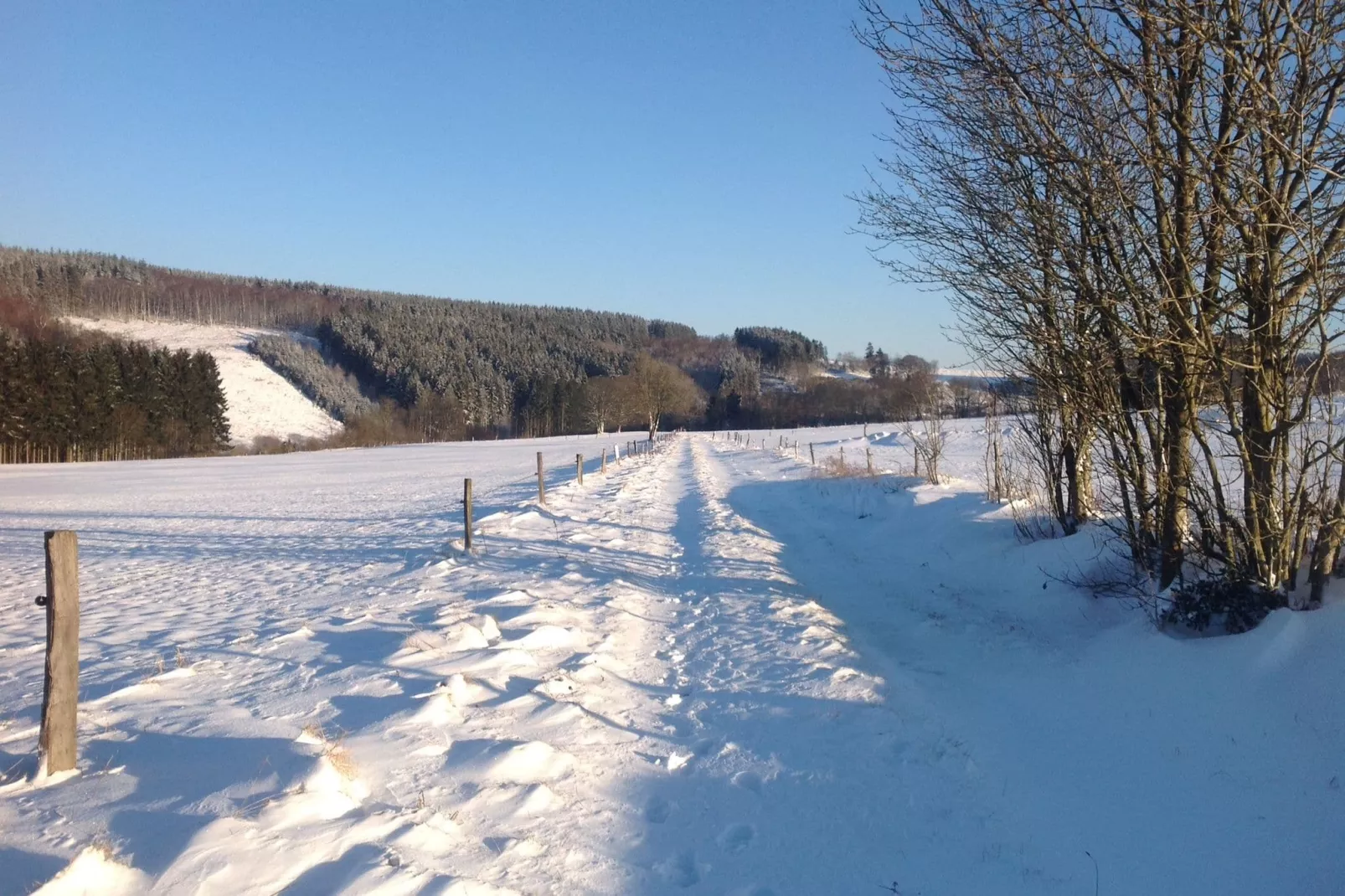 La Campanelle-Zone d'hiver à 1 km