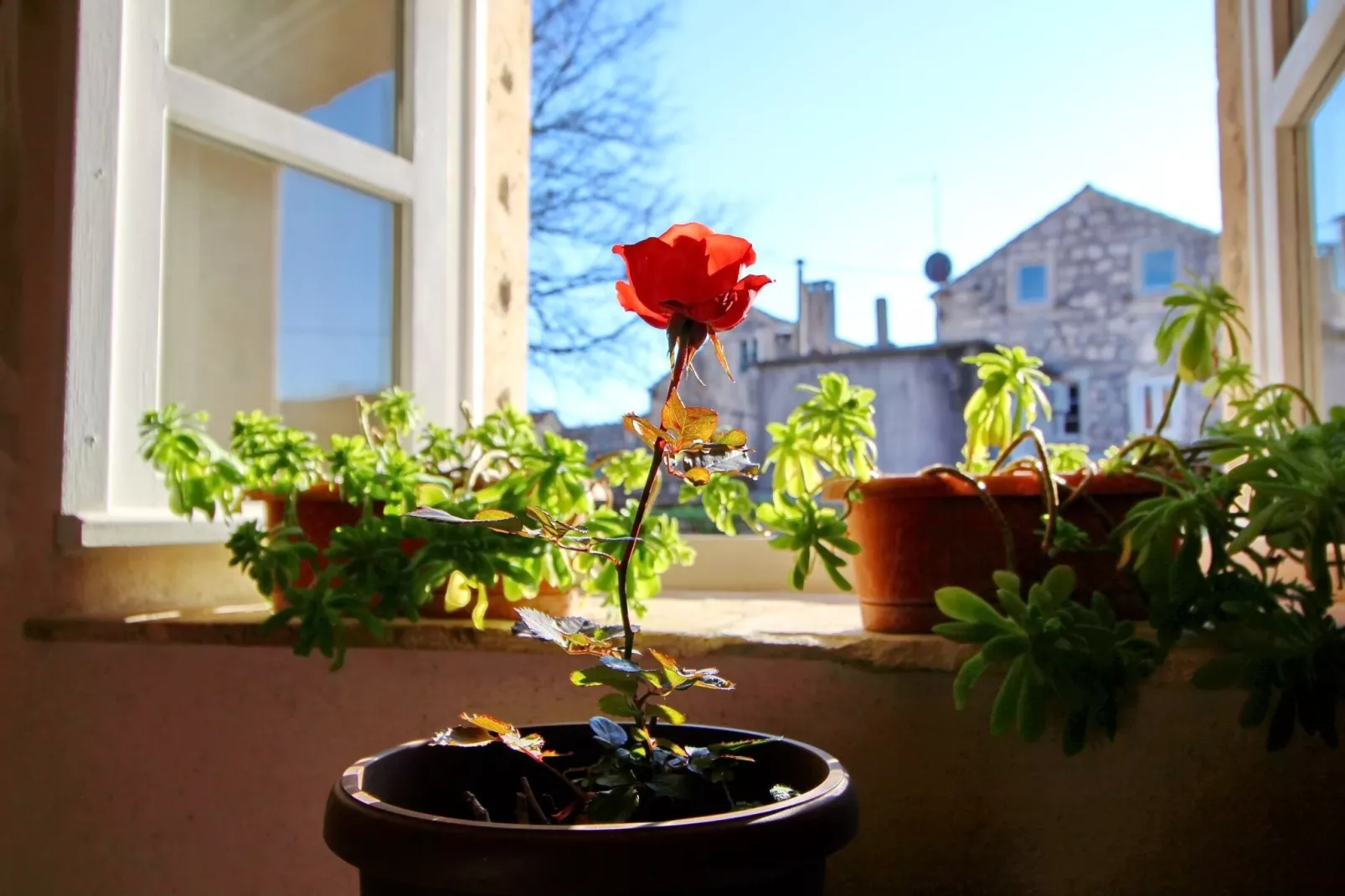 Stone House Harmony - One Bedroom Apartment with Patio and Garden View ( 1 )-Indoor