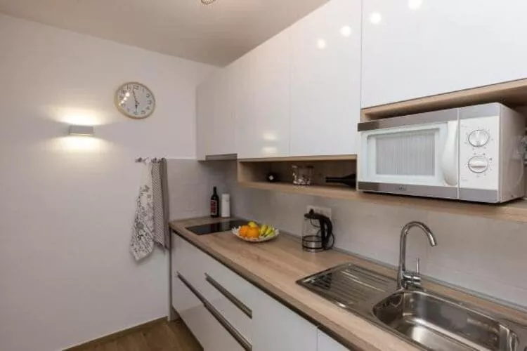 Apartment Hitri - One Bedroom Apartment with Terrace and Garden View-Kitchen