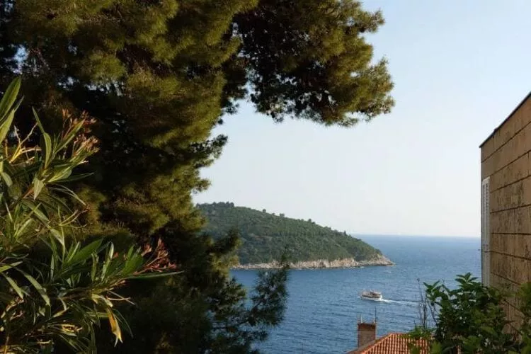 Apartment Hitri - One Bedroom Apartment with Terrace and Garden View-Gardens summer