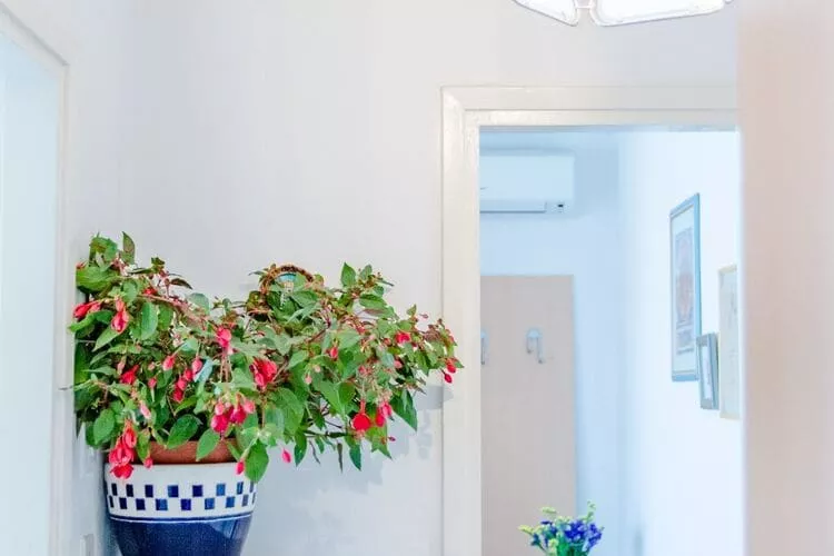 Studio Apartment Ecija (ST)-Indoor