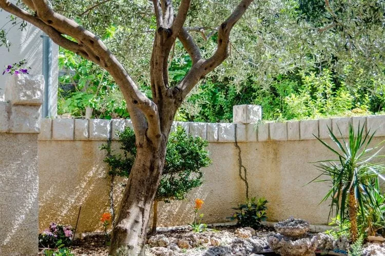 Villa Kosa - Standard Double Room With Balcony and Sea View (Soba 1-Matija)-Outdoor