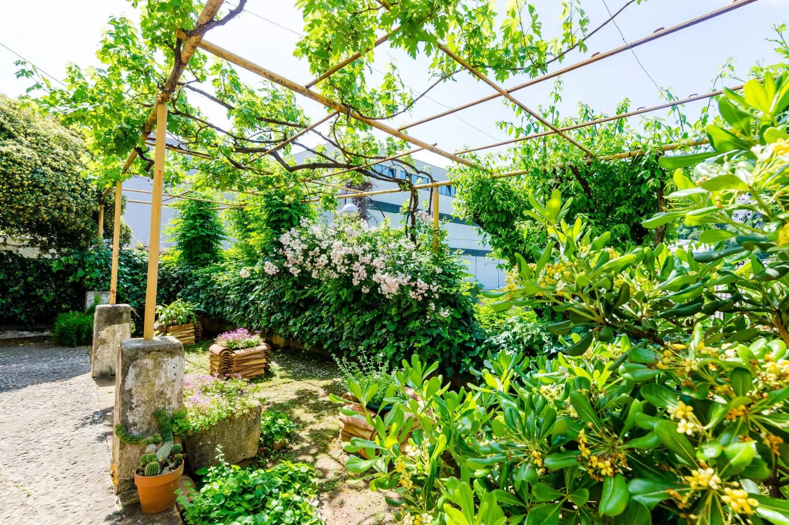 Guest House Ivana -Two Bedroom Apartment with Garden-Indoor