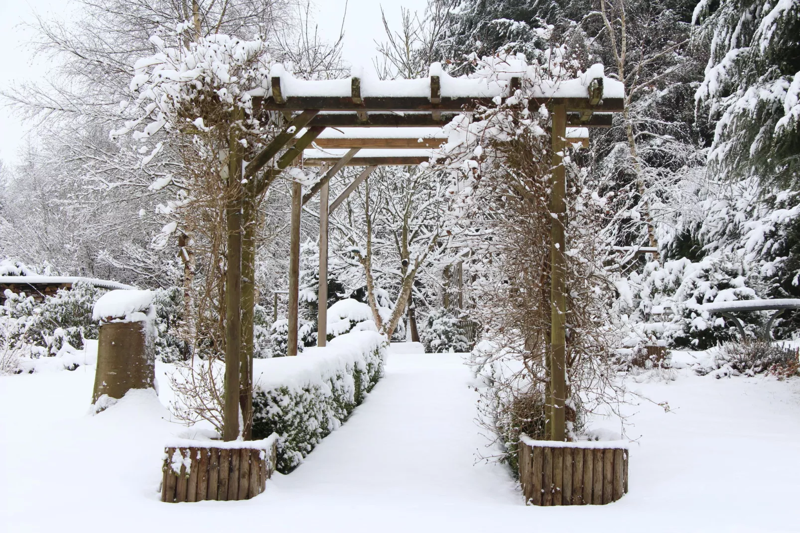 Maison Piérlu-Garden winter