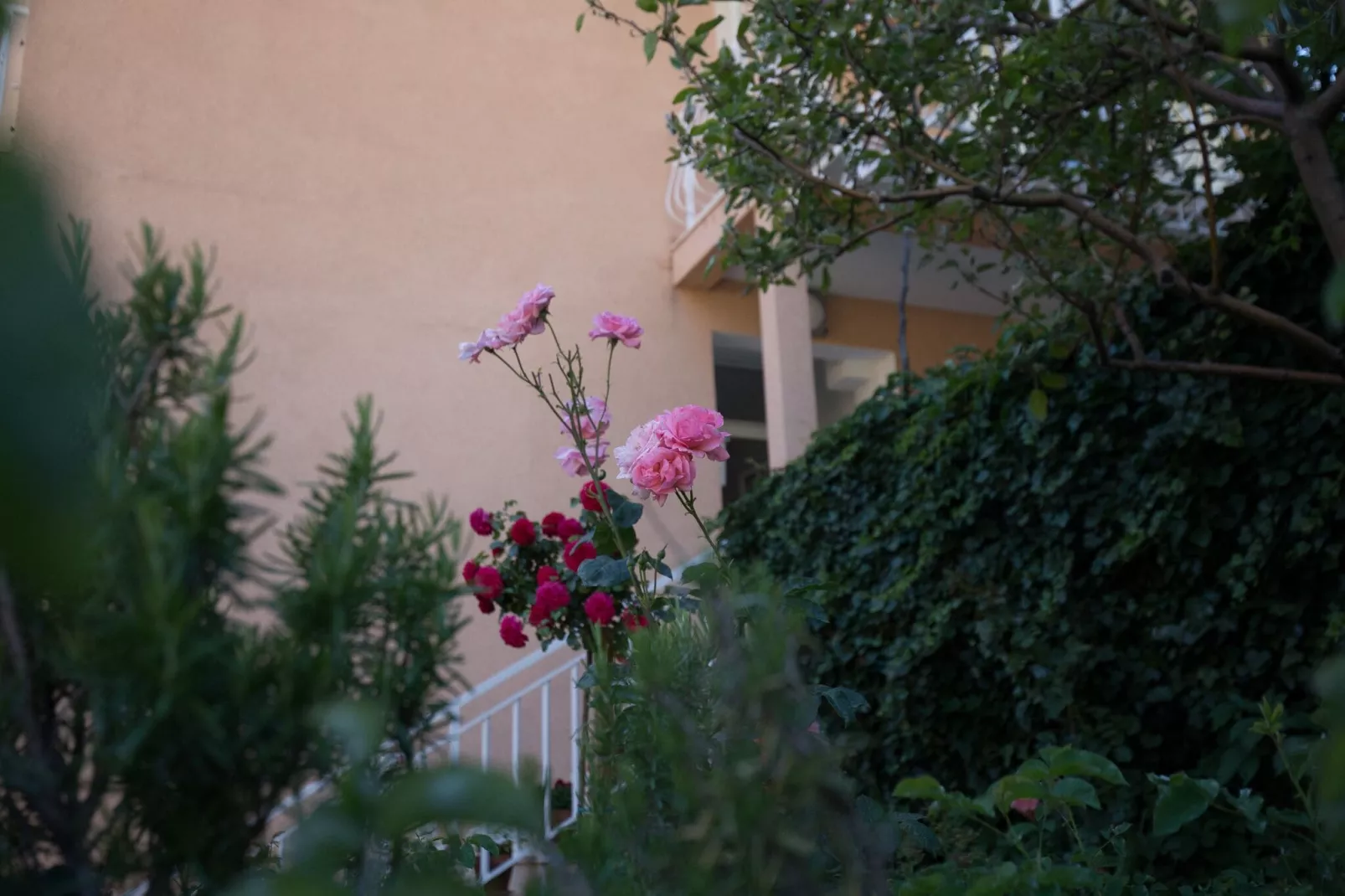 Villa Dubravka - Superior One Bedroom Apartment with Balcony and Sea View (Apartman 6)-Outdoor