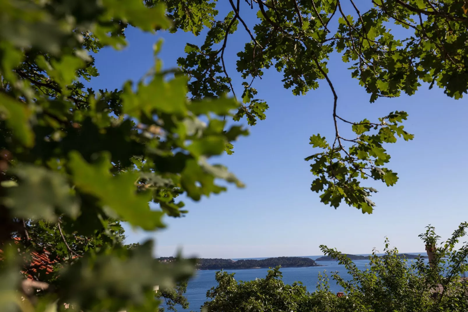 Villa Dubravka - Superior One Bedroom Apartment with Balcony and Sea View (Apartman 6)-View