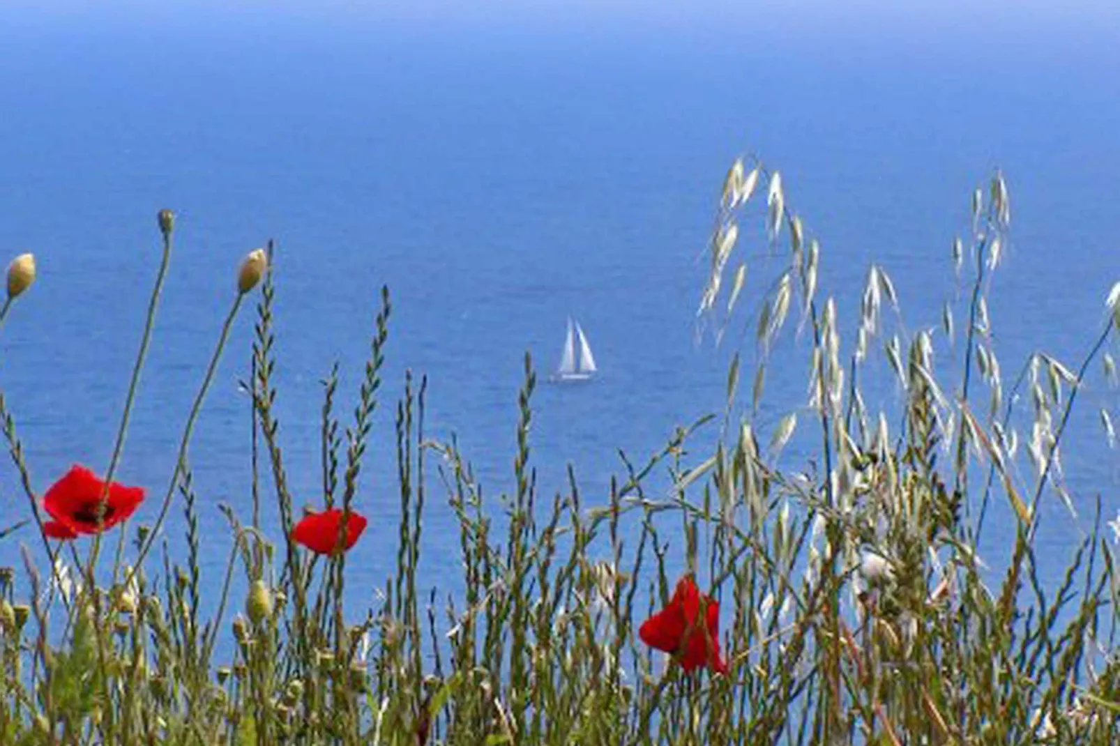 Apartment Danijela Mljet - Studio Apartment with Balcony and Sea View-View