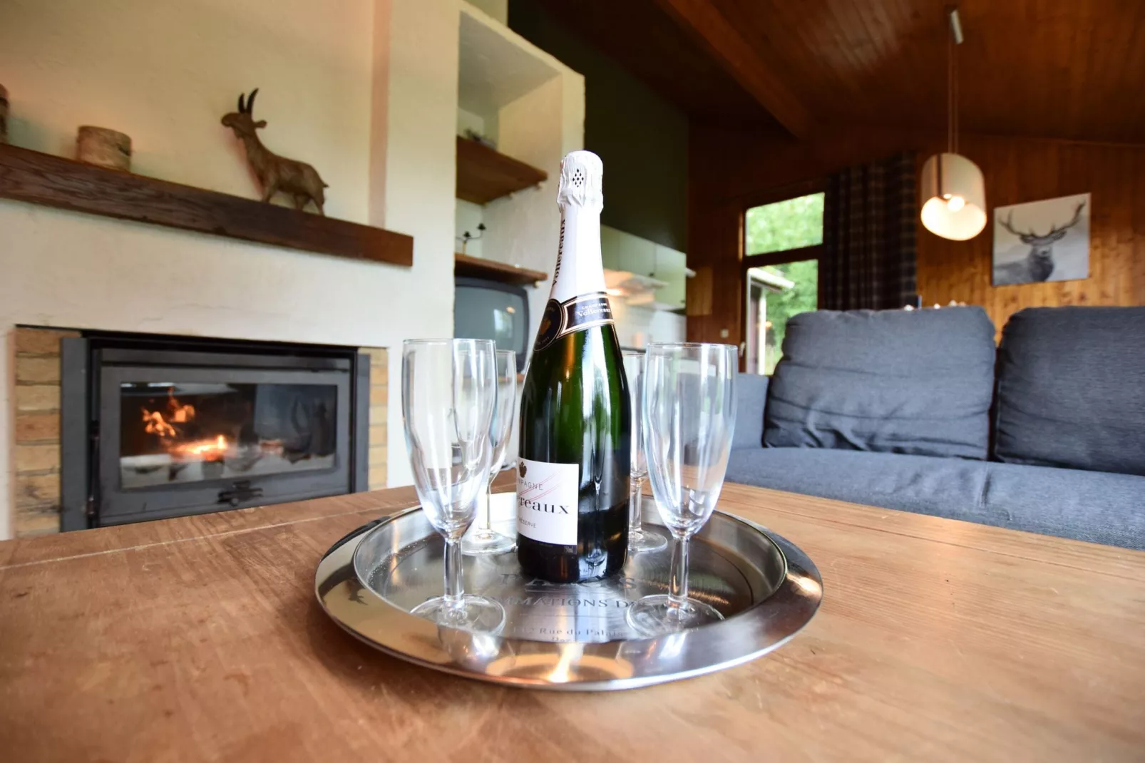 Chalet Bruyères-Atmosphere