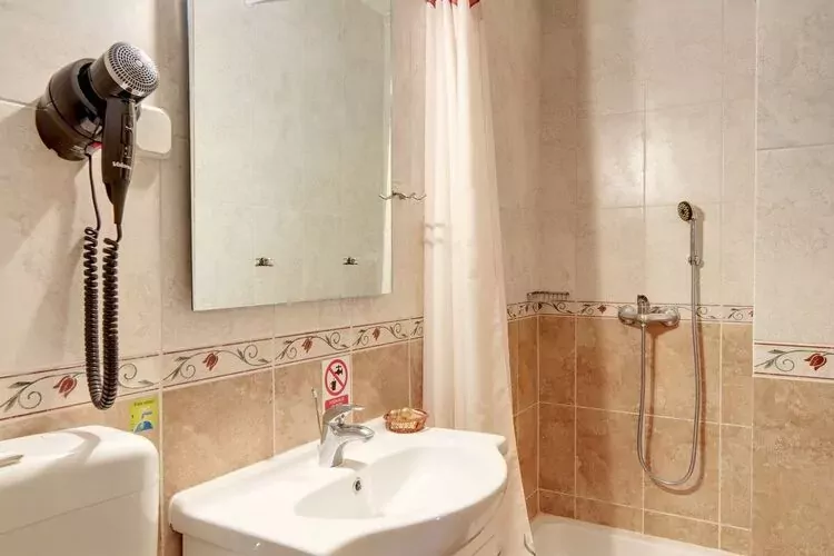 Mikin dol Baranja Country house - Two Bedroom Country House-Bathroom