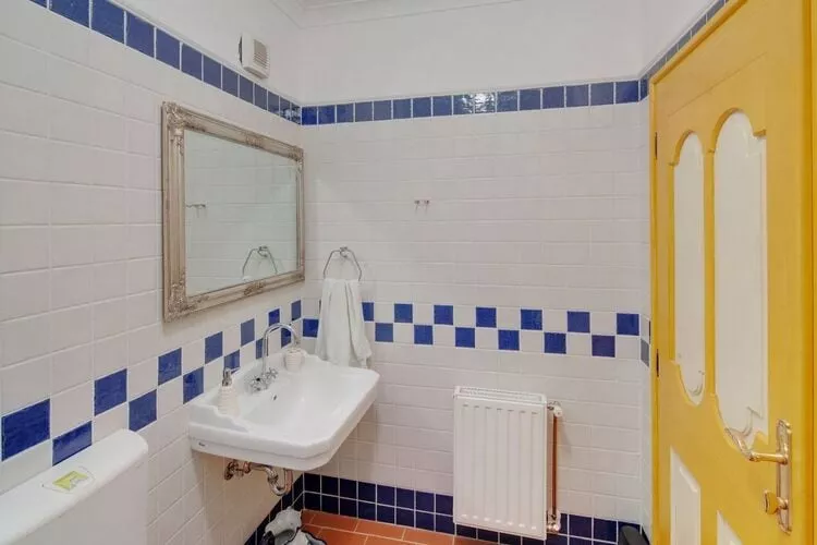 Mikin dol Baranja Country house - Two Bedroom Country House-Bathroom